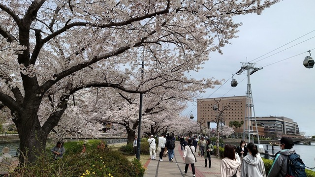 20250406_122445.JPG